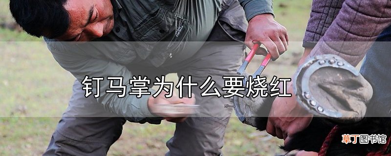 钉马掌为什么要烧红