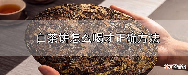 白茶饼怎么喝才正确方法