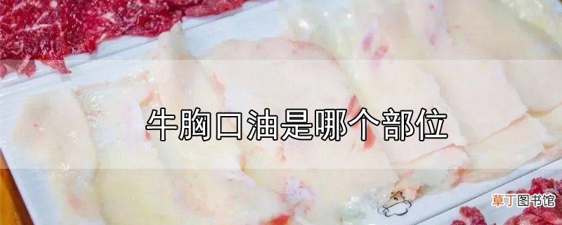 牛胸口油是哪个部位