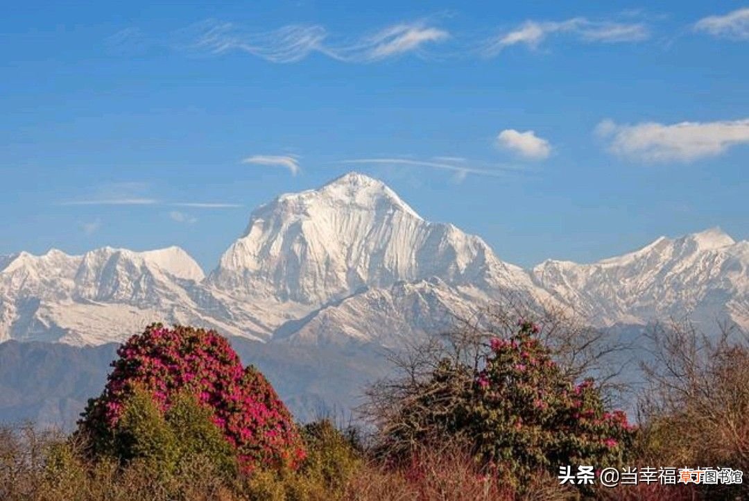 看看世界前十高山排名 世界高峰排名