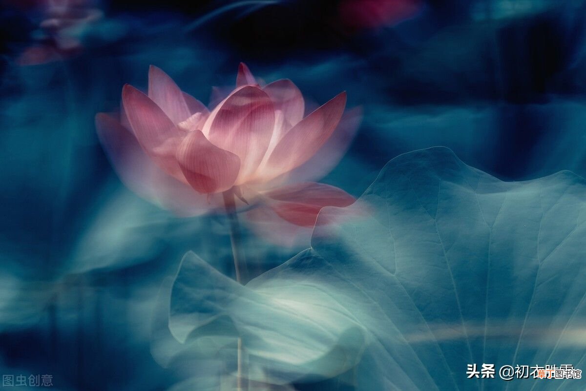 到底写的是春梦还是怀思？ 来如春梦不多时