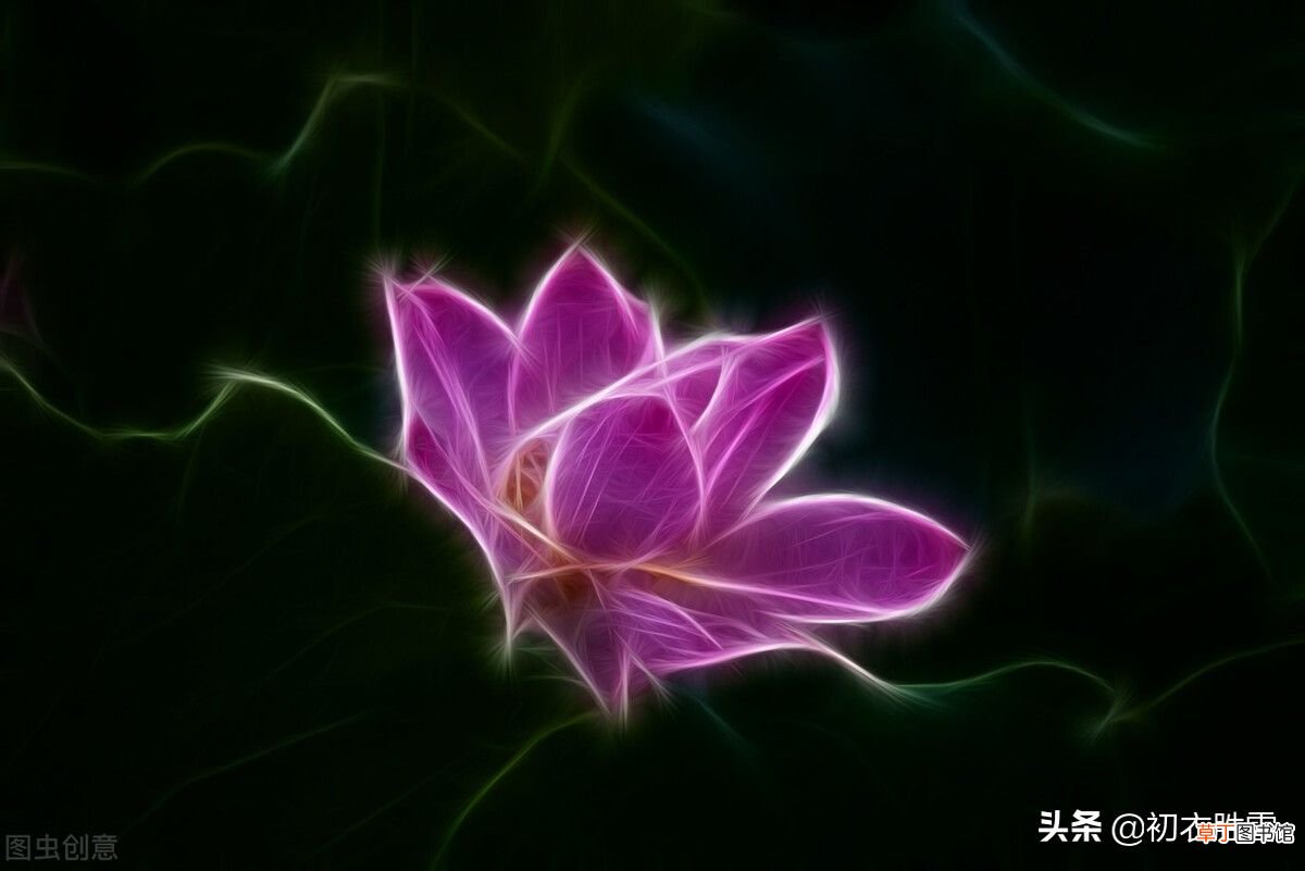 到底写的是春梦还是怀思？ 来如春梦不多时