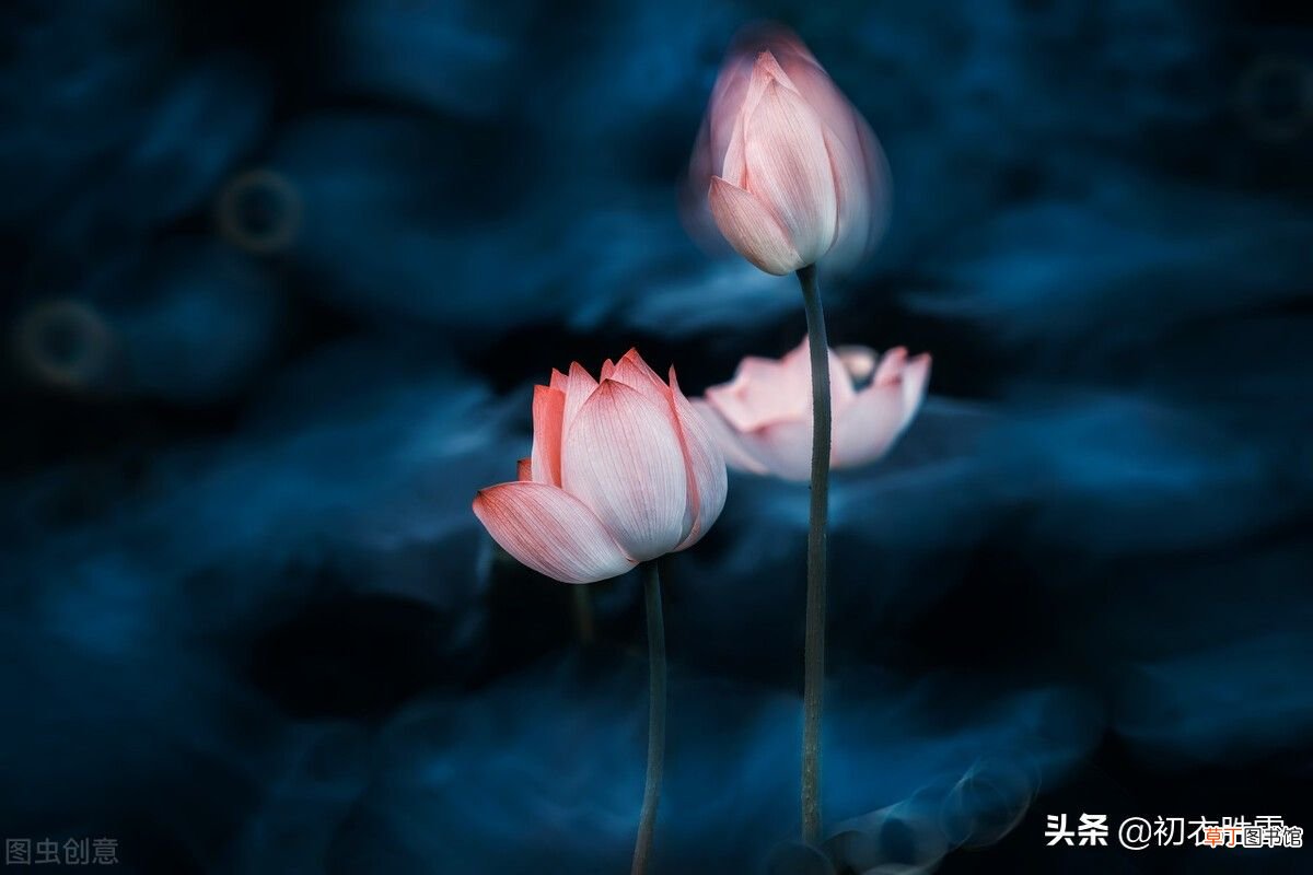 到底写的是春梦还是怀思？ 来如春梦不多时