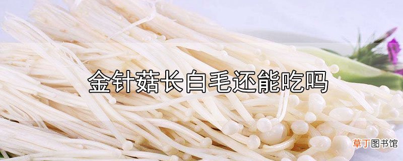 金针菇长白毛还能吃吗
