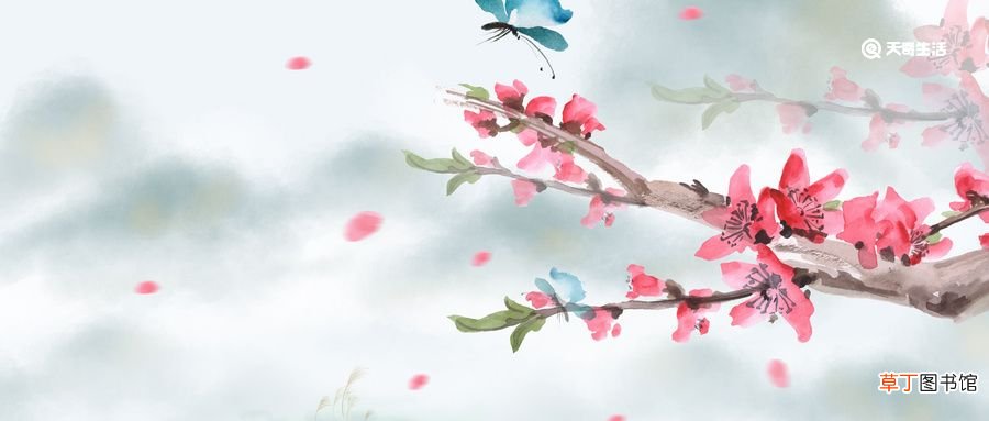 终是庄周梦了蝶 你是恩赐也是劫的意思 终是庄周梦了蝶 你是恩赐也是劫是什么意思