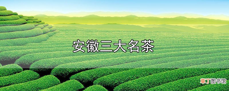 安徽三大名茶