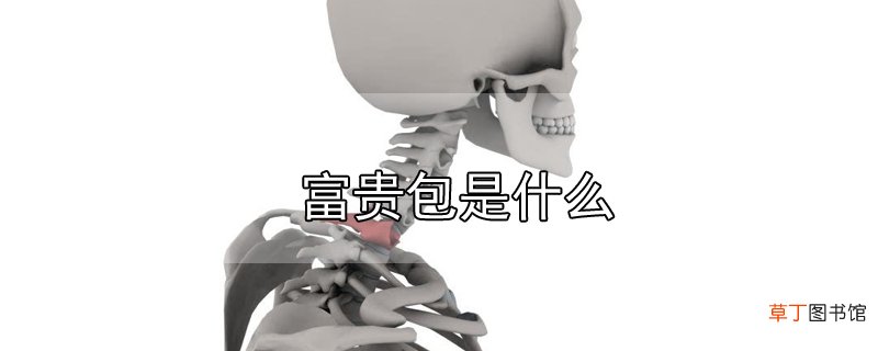 富贵包是什么