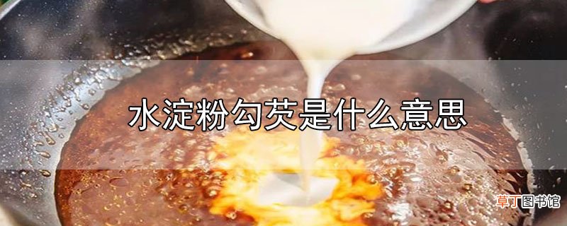 水淀粉勾芡是什么意思