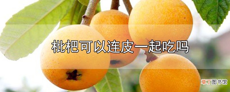 枇杷可以连皮一起吃吗