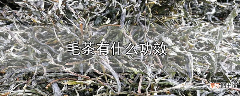 毛茶有什么功效