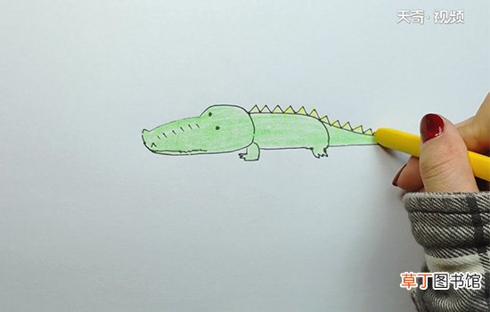 鳄鱼的画法
