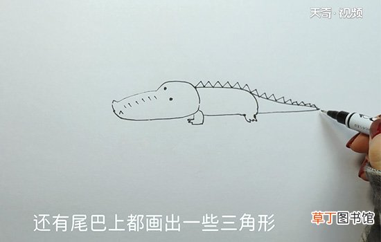 鳄鱼的画法