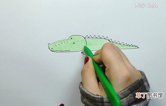 鳄鱼的画法