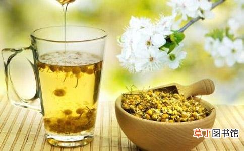 男性泡什么茶补肾壮阳-男人喝什么茶补肾壮阳效果最好