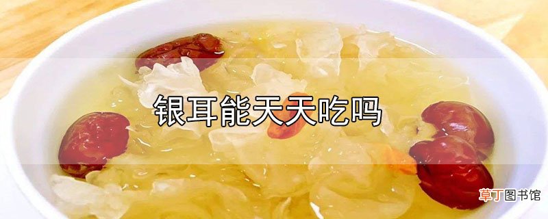 银耳能天天吃吗