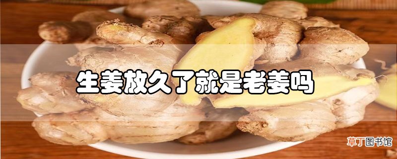 生姜放久了就是老姜吗