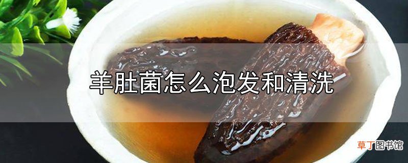羊肚菌怎么泡发和清洗