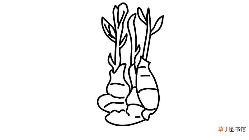 姜简笔画
