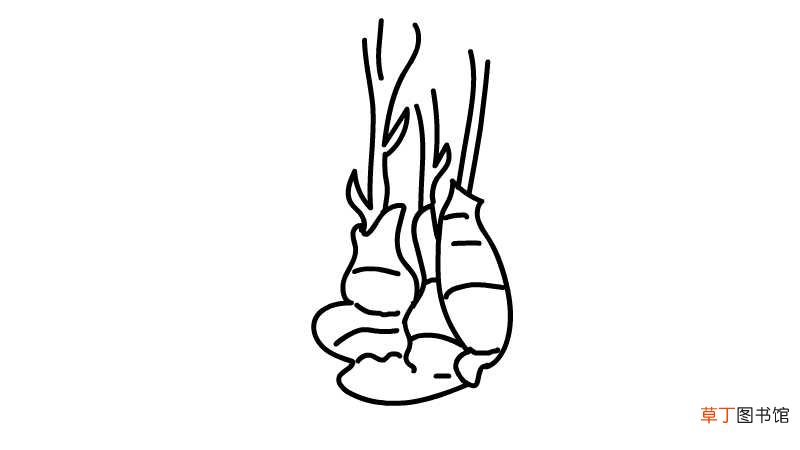 姜简笔画
