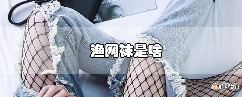 渔网袜是啥