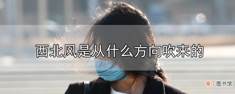 西北风是从什么方向吹来的