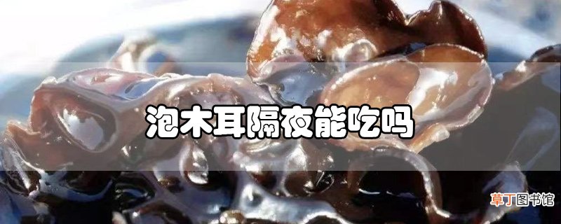 泡木耳隔夜能吃吗