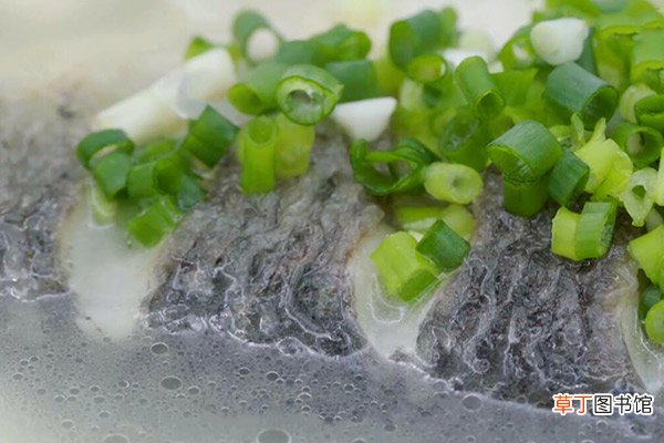 鲫鱼豆腐汤的做法 鲫鱼豆腐汤怎么做