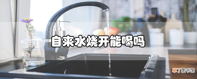 自来水烧开能喝吗