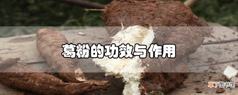葛粉的功效与作用