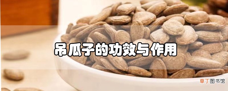 吊瓜子的功效与作用