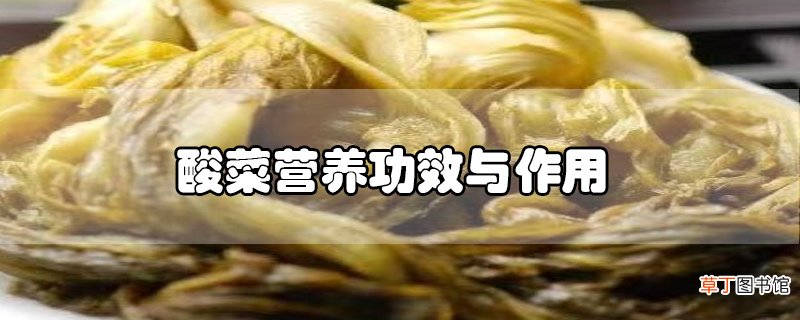 酸菜营养功效与作用
