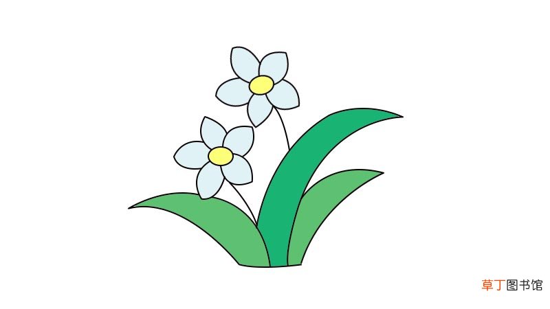 水仙花简笔画怎么画水仙花简笔画画法