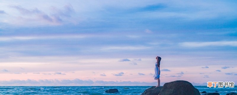 海底两万里一到五章概括 海底两万里一到五章概括是什么