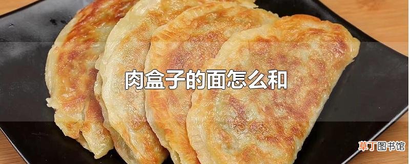 肉盒子的面怎么和