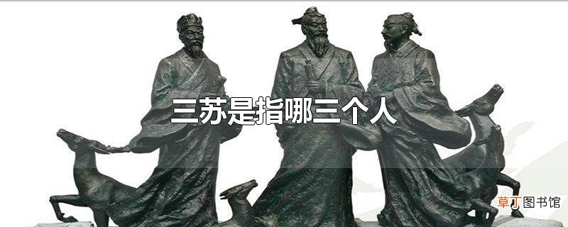 三苏是指哪三个人