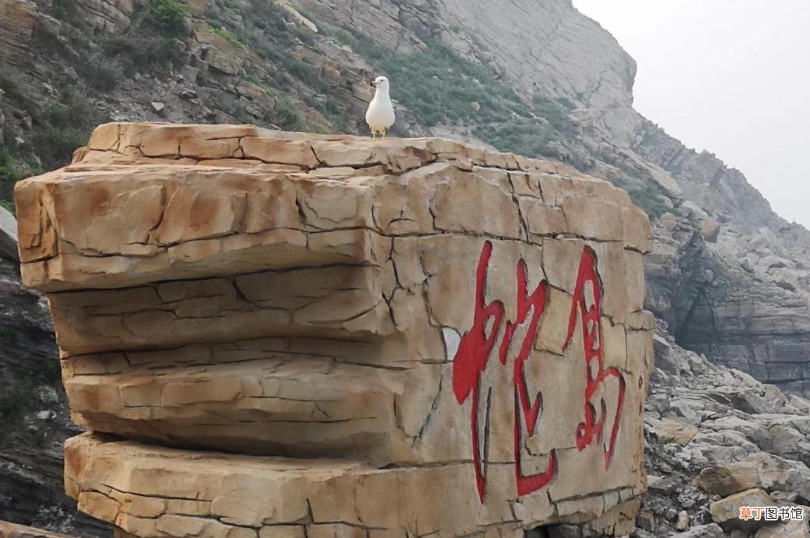 我国的蛇岛位于什么地方 蛇岛在中国的什么位置