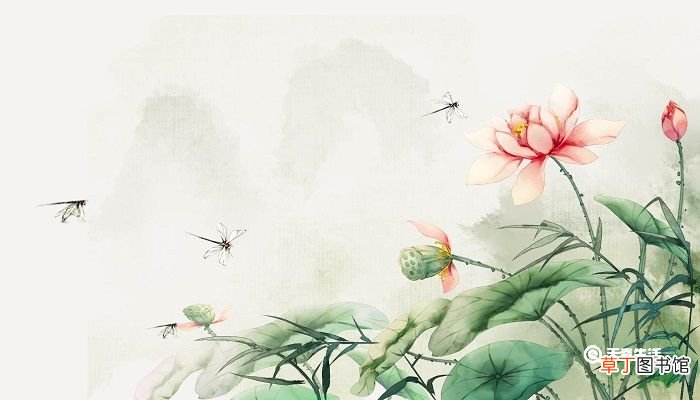 晓出净慈寺送林子方的晓出是什么意思 晓出净慈送林子方的意思