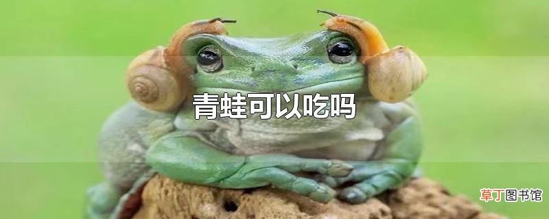 青蛙可以吃吗