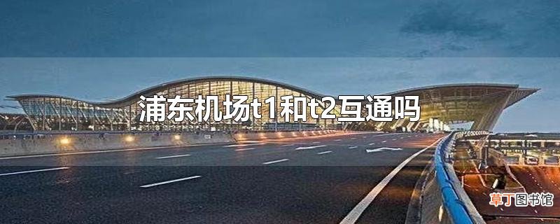 浦东机场t1和t2互通吗