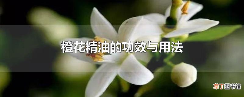 橙花精油的功效与用法