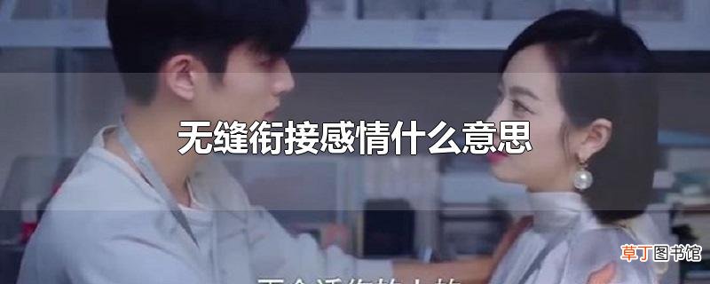 无缝衔接感情什么意思