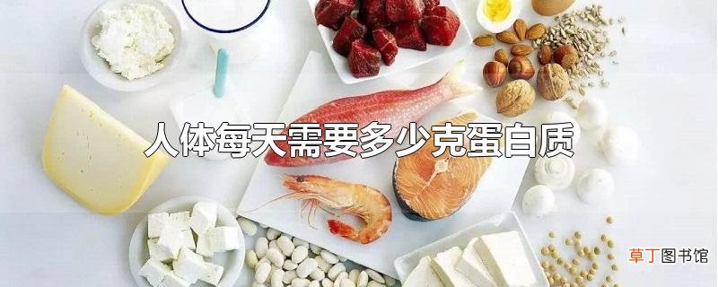 人体每天需要多少克蛋白质