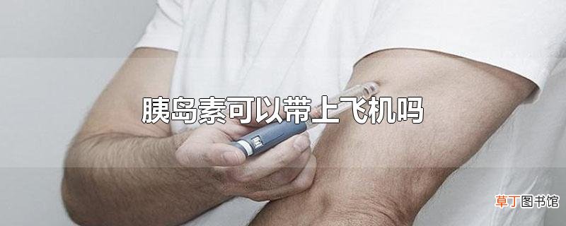 胰岛素可以带上飞机吗