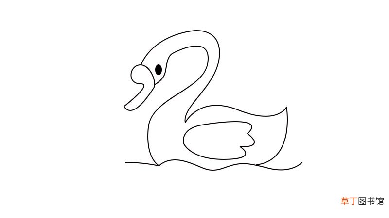 天鹅简笔画教程天鹅简笔画步骤