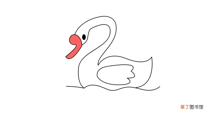 天鹅简笔画教程天鹅简笔画步骤