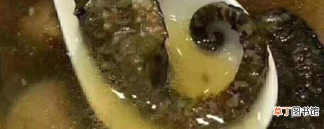海马煲汤做法大窍门 怎么做简单好喝