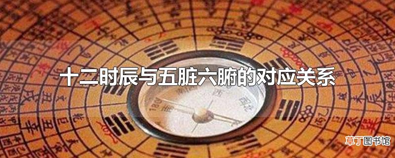 十二时辰与五脏六腑的对应关系