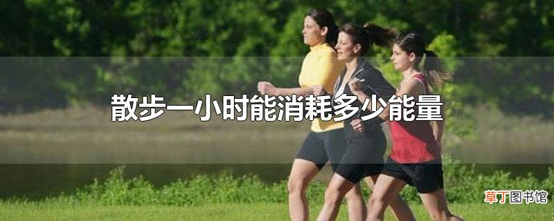 散步一小时能消耗多少能量