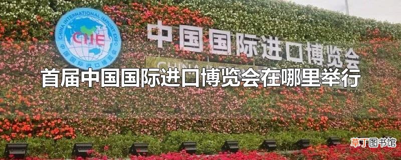 首届中国国际进口博览会在哪里举行