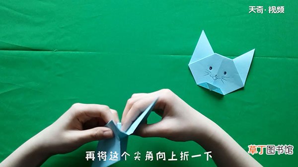猫的折法